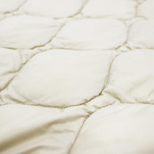 画像をギャラリービューアに読み込む, TAION(タイオン)VネックWジップ ダウンジャケット ソフトシェル【グレーベージュ】国内正規品