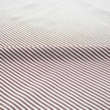 画像をギャラリービューアに読み込む, Blu Bre(ブルブレ)ボーダー柄 スキッパー コットンニット ポロシャツ【ブラウン×オフホワイト】国内正規品