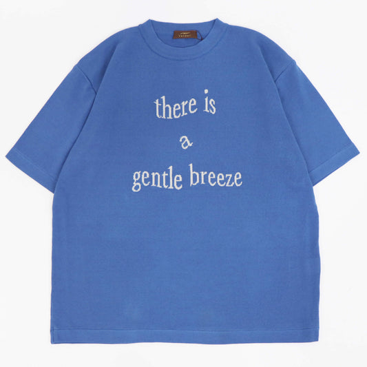 Vandori（ヴァンドリ）レタード ドレスニットTシャツ【ブルー×シルバー】国内正規品