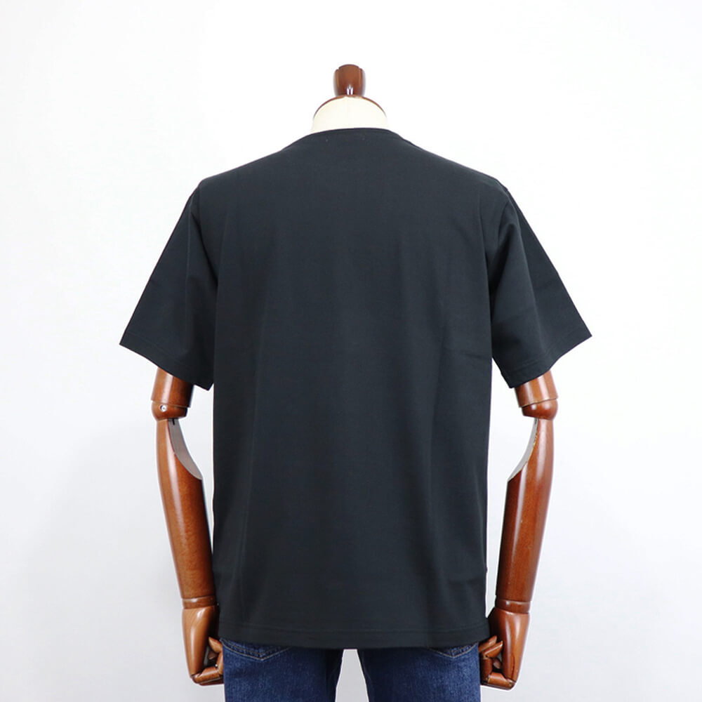 THE SOLE（ザソール）スビンコットン Tシャツ【ブラック】国内正規品